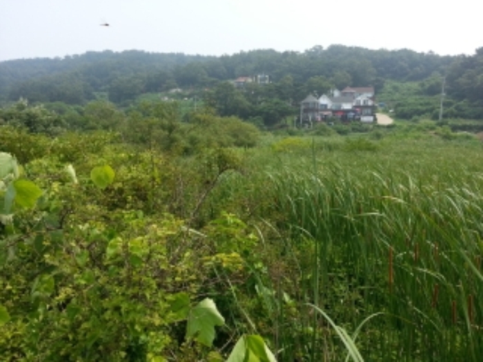 인천지법 2015타경37896-1 사진