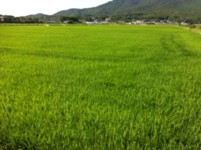 인천지법 2015타경39489-1 사진