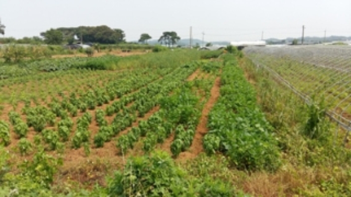 인천지법 2015타경39496-2 사진