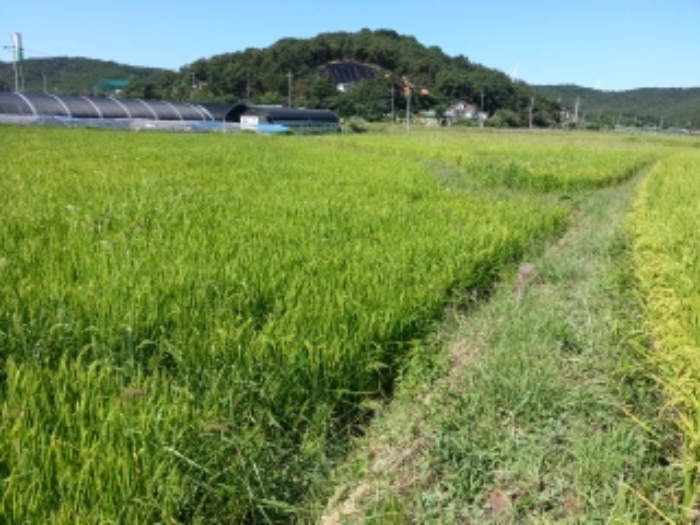 인천지법 2015타경43594-1 사진
