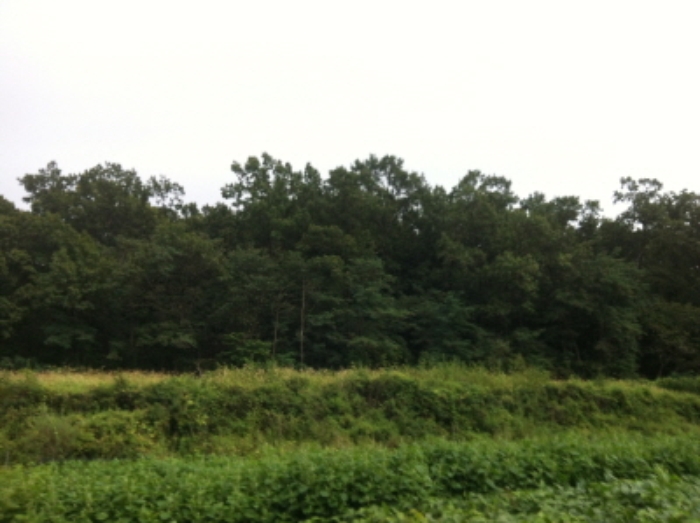 인천지법 2015타경44450-1 사진