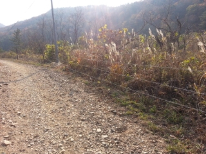 인천지법 2015타경47107-1 사진