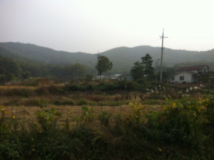 인천지법 2015타경506514-1 사진