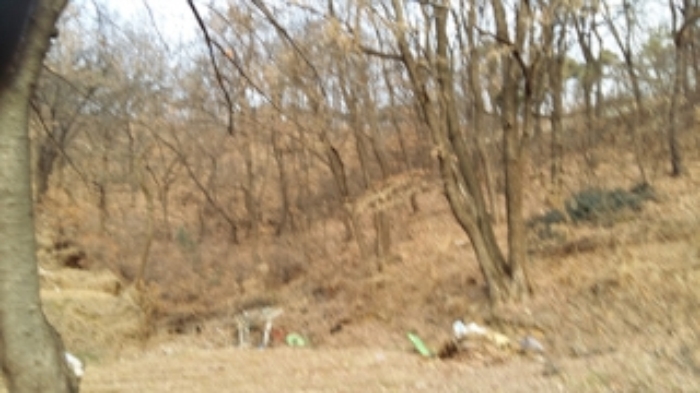 인천지법 2015타경509391-1 사진