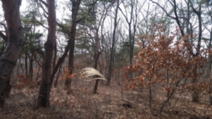 인천지법 2016타경655-7 사진