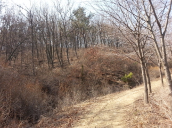 인천지법 2016타경6684-2 사진