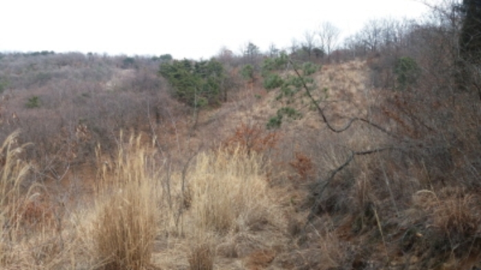 인천지법 2016타경8741-1 사진