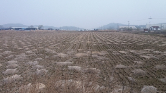 인천지법 2016타경11303-1 사진