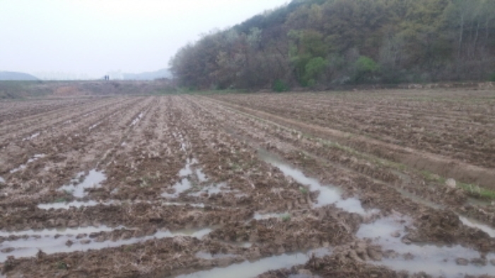 인천지법 2016타경13293-1 사진