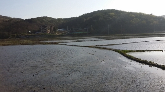인천지법 2016타경13866-2 사진