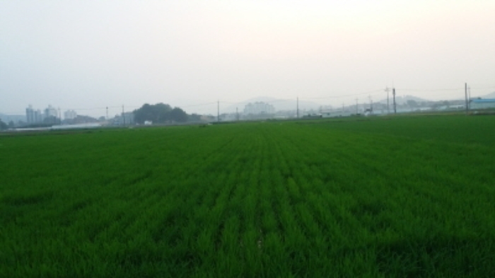 인천지법 2016타경19932-1 사진