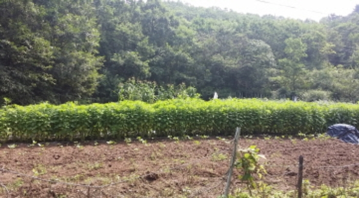 인천지법 2016타경23740-1 사진
