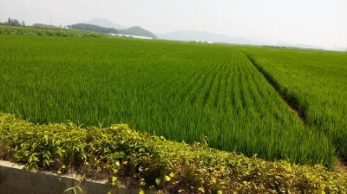 인천지법 2016타경26183-1 사진
