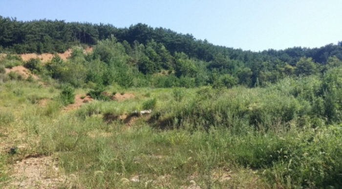 인천지법 2016타경29342-1 사진