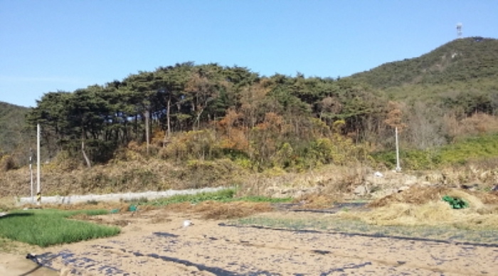 인천지법 2016타경41380-1 사진