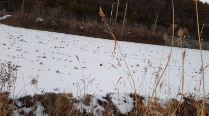 인천지법 2017타경1150-2 사진
