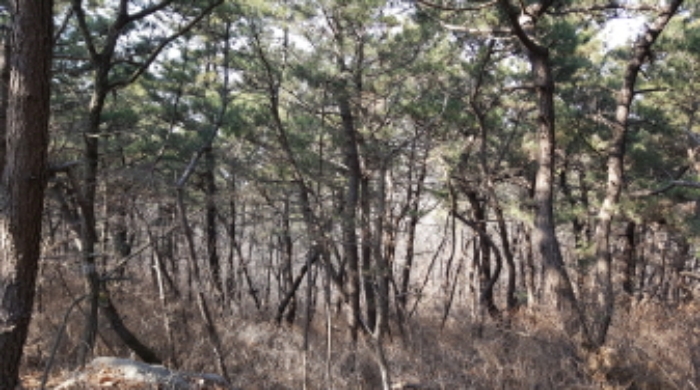인천지법 2017타경3033-1 사진