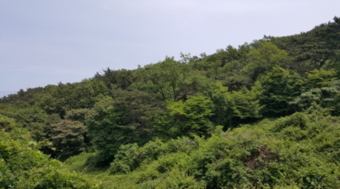 인천지법 2017타경13740-3 사진