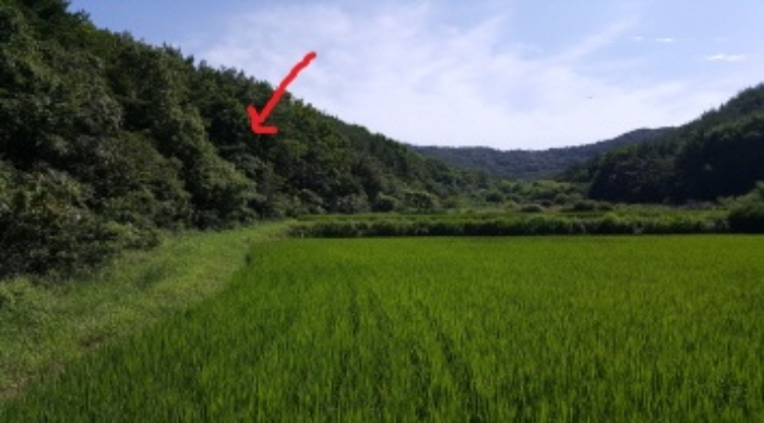 인천지법 2017타경21499-2 사진