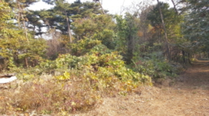 인천지법 2017타경31878-1 사진