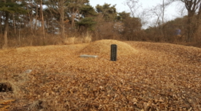 인천지법 2017타경38381-1 사진