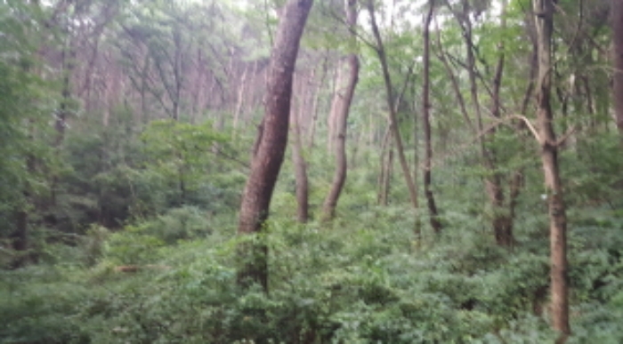 인천지법 2017타경509739-1 사진