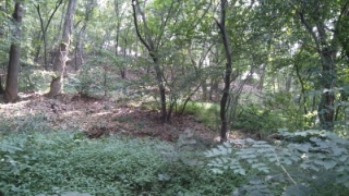 인천지법 2017타경509760-1 사진
