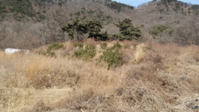 인천지법 2018타경2204-1 사진