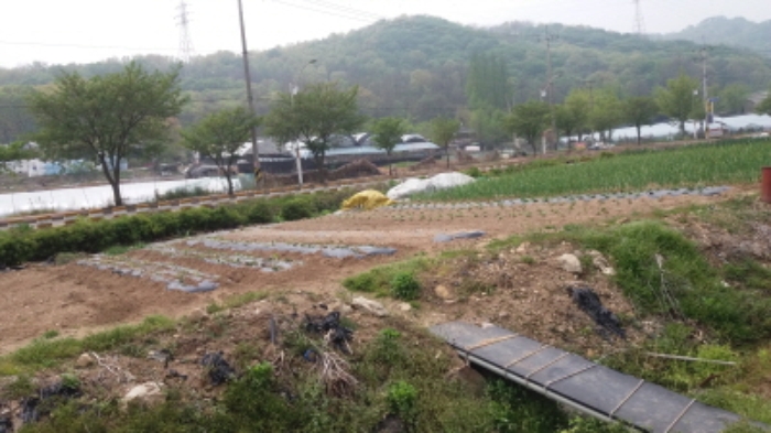인천지법 2018타경11727-1 사진