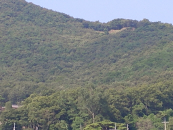 인천지법 2018타경20370-1 사진
