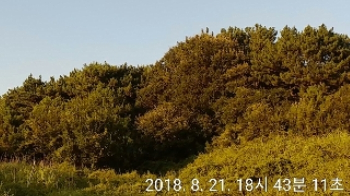 인천지법 2018타경22512-1 사진