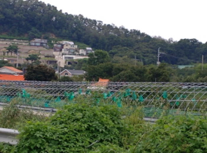 인천지법 2018타경23744-1 사진