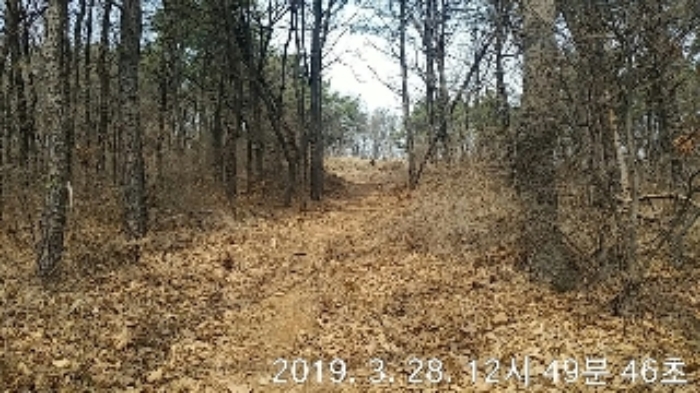 인천지법 2019타경7619-1 사진