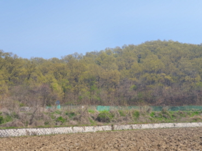 인천지법 2019타경9783-1 사진