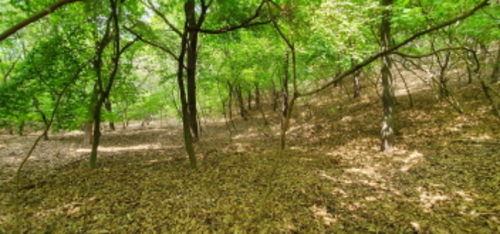 인천지법 2019타경13508-1 사진