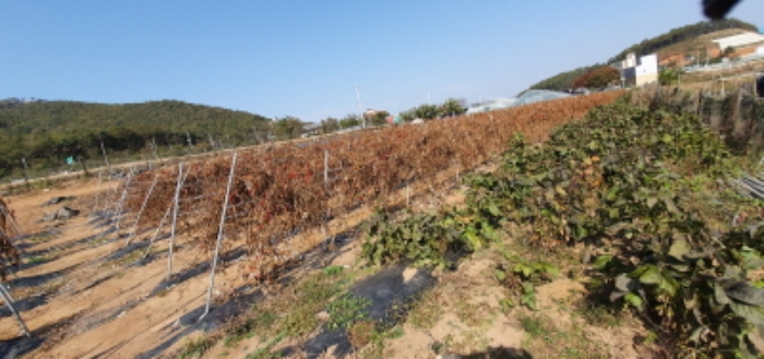 인천지법 2019타경30350-2 사진