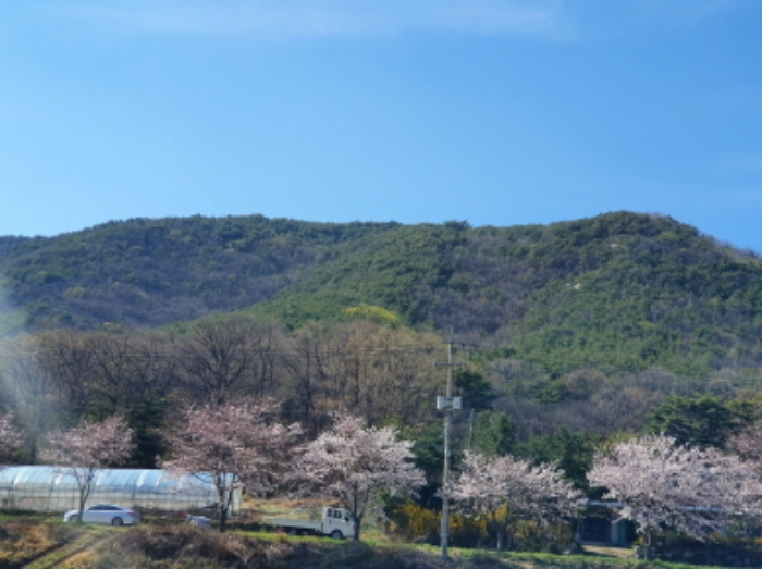 인천지법 2019타경506130-1 사진