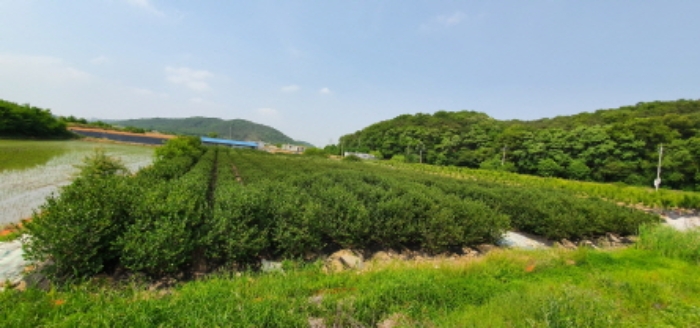 인천지법 2019타경510801-1 사진