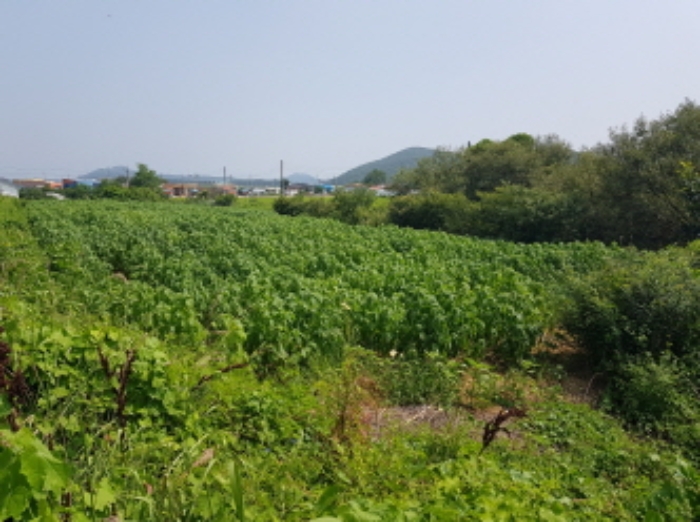 인천지법 2019타경514971-1 사진