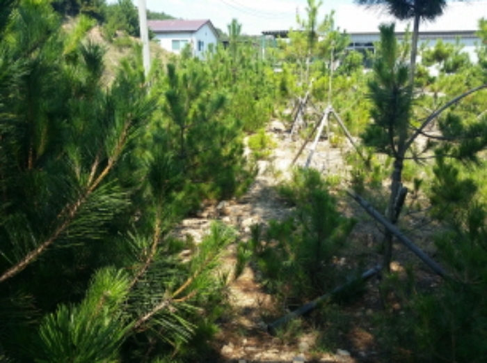 인천지법 2019타경516083-1 사진