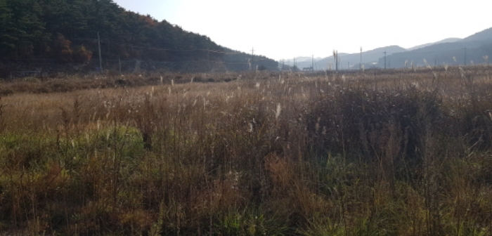 인천지법 2019타경519310-3 사진