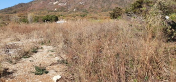 인천지법 2019타경523630-1 사진