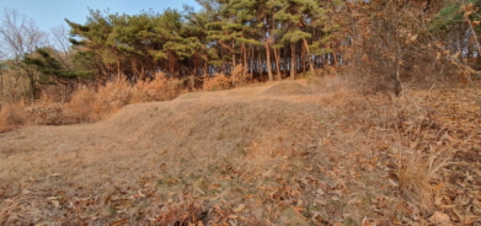 인천지법 2019타경526295-1 사진