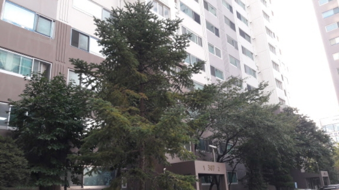 인천지법 2020타경523216-1 사진
