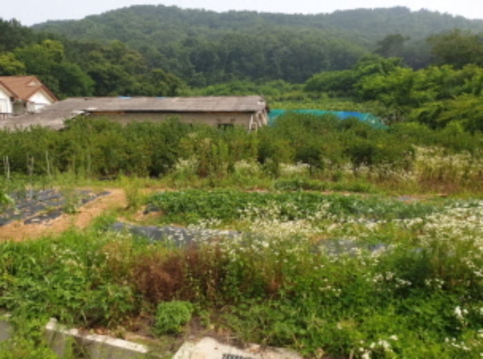 인천지법 2021타경8103-1 사진