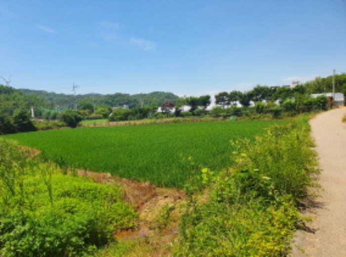 인천지법 2021타경10915-1 사진