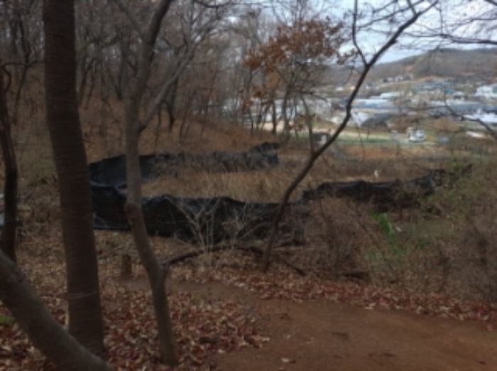 인천지법 2021타경524766-1 사진