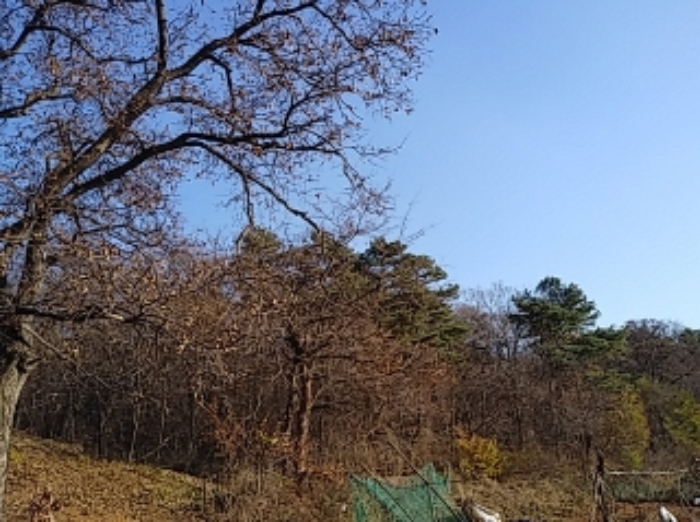 인천지법 2021타경526014-1 사진
