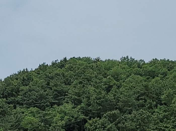 인천지법 2022타경513756-1 사진