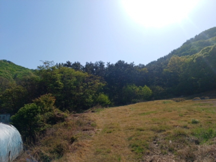인천지법 2023타경514138-2 사진